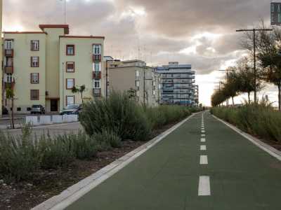 ...mentre i ciclisti si servono della nuova pista color verde scuro. Nel mezzo una fila di alberi e di piante ornamentali funge da spartitraffico